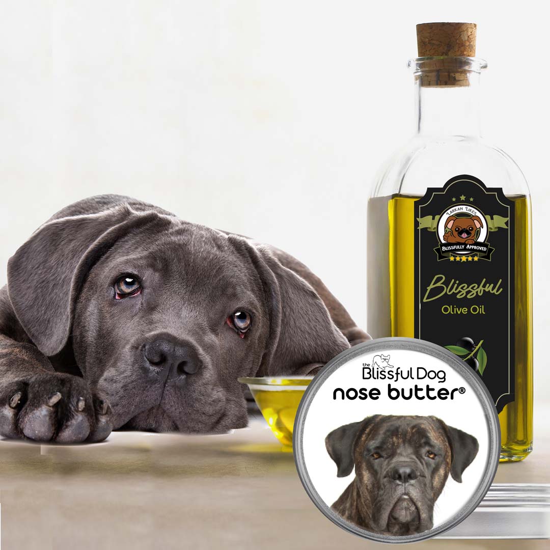 Cane Corso Nose Butter
